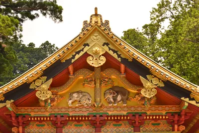 DSC_3859 (Large).JPG